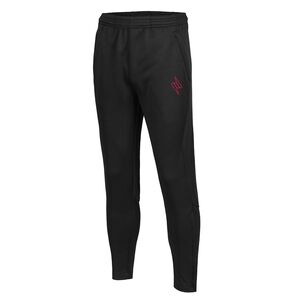 IGEN Tapered Pant Thumbnail